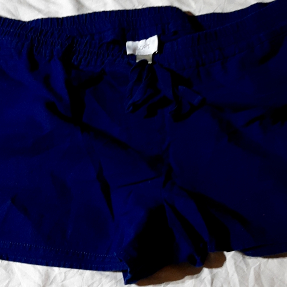 Ann Taylor Loft linen navy shorts size XL